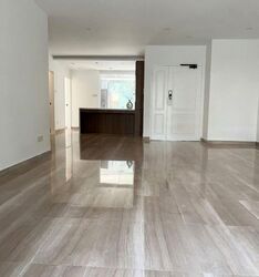Tanglin Park (D10), Condominium #614192041